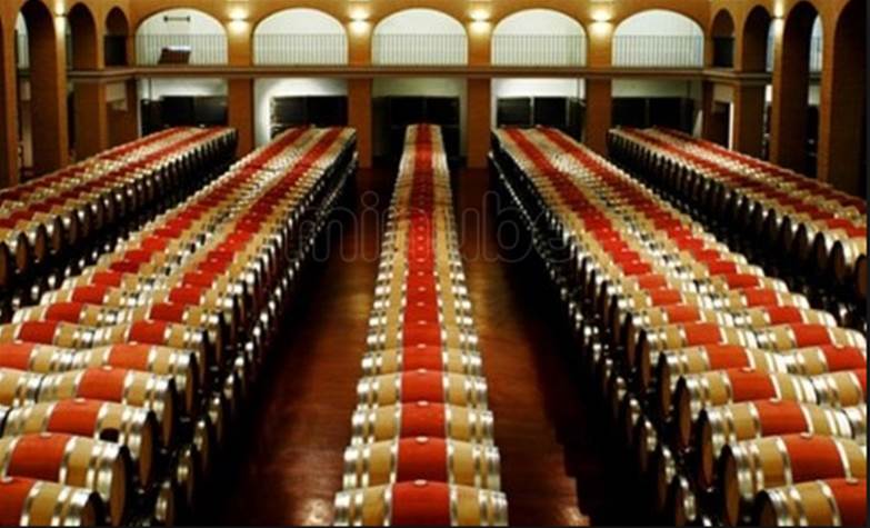 Bodegas Casa del Valle 2