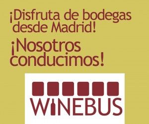 Disfruta de Bodegas desde Madrid, nosotros conducimos
