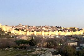 Ávila wine tour