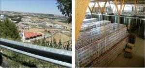 Bodegas Protos 4