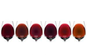 Términos enológicos copas de vino