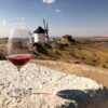 Visita los molinos de Consuegra con Winebus