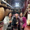 Conoce la cultura del vino con Winebus