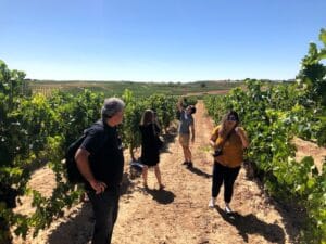Visita a viñedo con Winebus