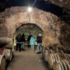 Tours de vino desde Madrid