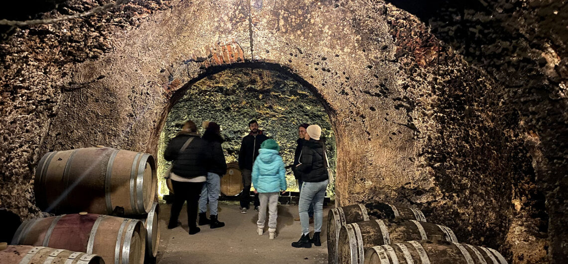 Tours de vino desde Madrid -Winebus