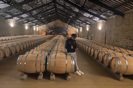 Tour a Rioja desde Madrid
